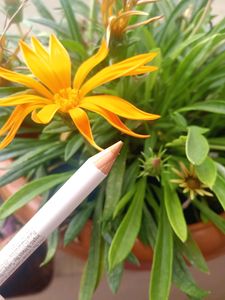 🆕Myglamm Gold Metallic Eyeliner Pencil