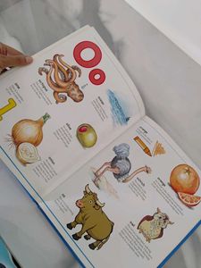 My Hooked on Phonics Dictionary