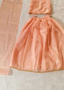 Adorable Peach Lehenga Set