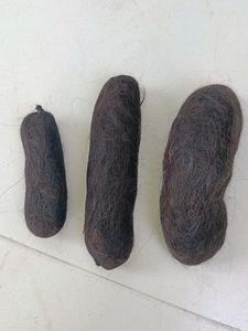 Real Hair Bun ( 3 - Pis )
