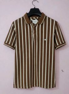 Brown & Cream Striped Polo T-Shirt | Half Sleeve