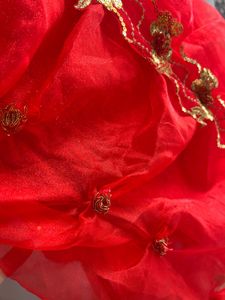 NO DISCOUNT Red Embellished Gown