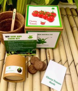 DIY Sow and Grow Kit - Cosmos Seeds