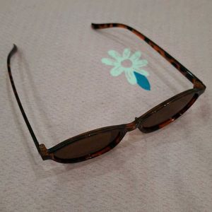 Stylish Tortoiseshell Sunglasses