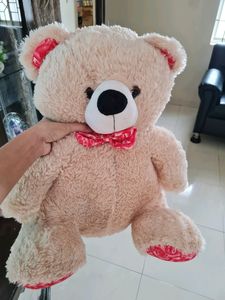 Big Teddy Bear Soft Toy