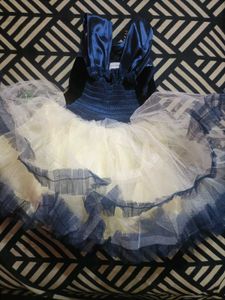 Embroidered Lehenga Choli Set