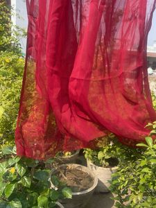 Vibrant Red Dupatta