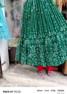 Embroidered Mirror Work     lehenga