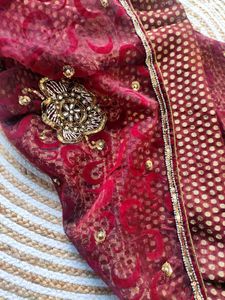 Party Wear Embellished Boutique Saree