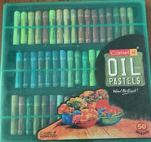 Camel Oil Pastels - 50 Shades