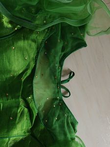 stylish parrot colour blouse with net sleeve