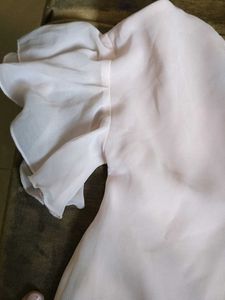 Sheer Ruffle Sleeve Top