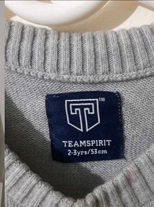 Grey Athletic Champs Sweatshirt