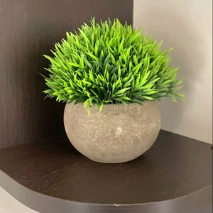 Lilone Artificial Benn Grass with Pot (Green)
