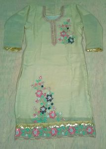 Beautiful Skin Colour Embroidered Suit