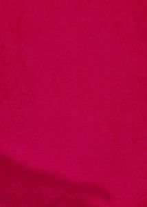 Red T-Shirt