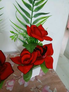 flower pots