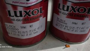 Berger Luxol Hi-Gloss Enamel Paint