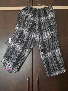 Short Trouser (Half Pant)