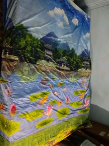 Curtain 🐠