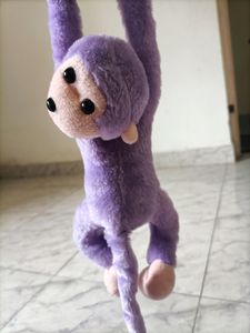 Teddy Daddy Kids Fav Musical Curtain Monkey
