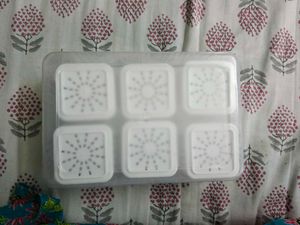 Fridge Storage Boxes - 6 Pcs