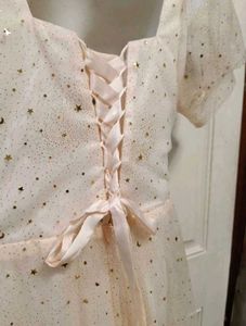 Sparkly  Tulle Gown