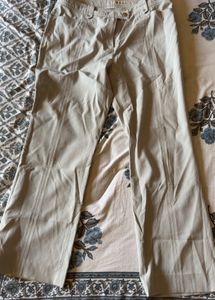 Stylish Beige Casual Pants