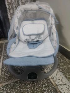 Baby Swing with Canopy