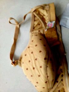 Brand New Padded Bra