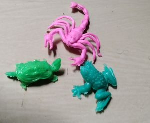Animals For Projects