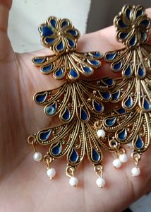 Beautiful Peacock Design Earrings