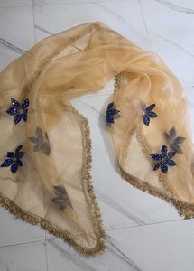 hand painted dupatta