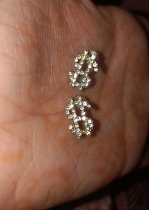 Sparkling Dollar Sign Earrings