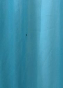 Sea Green Long Gown(Looks Blue In Photo)