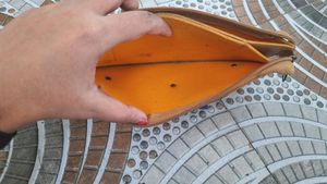 Women  Wallet /Purse