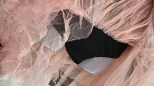 Pink &amp; Black Lace Tulle jumpsuit