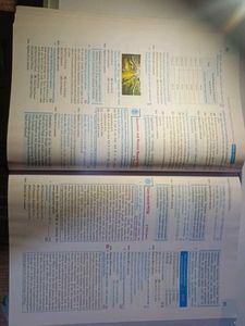 Oswaal Books CBSE Class 10 Social Science Term II