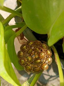 Elegant Golden Ring 💍👑