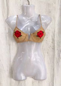 489. Sexy nude bra