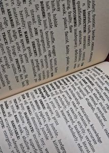 set of 6 Webster's Pocket Dictionary