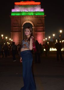 Stylish Butterfly Print Crop Top