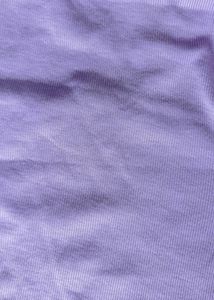 Price Drop Lavender Crop Top