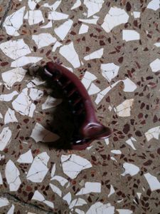 Hair Claw Clips - Mixed Lot
