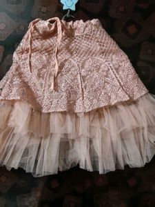 Embellished Blouse With Lehenga