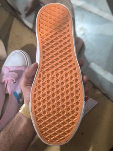 Roadster Pink Canvas Sneakers