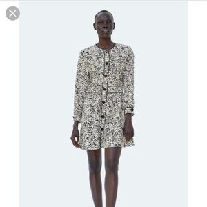 Zara leopard Printed Button-Up Mini Dress