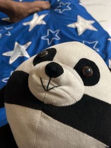 Cute Panda Plush Toy