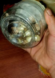 Unique Jar of Seashells and Pearls