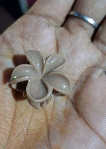 Set of 10  Flower Hair Claw Clips